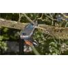 Telescopic Pruning Lopper StarCut 410 - Gardena