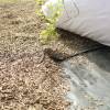 Weed Control Fabric - 1m05