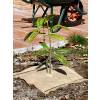 Square mulch-fabric Wood-Jute