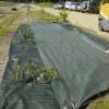 Weed Control Fabric - 1m25