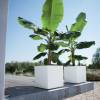 Pure Square  50x50 H49  Anthracite  Elho