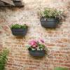 Vibia Campana Wall Basket -35 cm - Anthracite-Elho