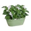 Vibia Campana Wall Basket - 35 cm -Green P. - Elho