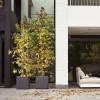 Pure Soft Brick  40x40 H39  Anthracite - Elho