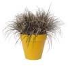 Loft Urban Round  D.30 H.26  Ochre  Elho
