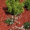 Coloured Wood Shavings - Red