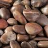 Decorative Pebbles - River - 3L - 3/6 cm