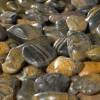 Decorative Pebbles - Ocean - 3L - 3/6