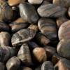 Decorative Pebbles - Ocean - 3L - 3/6