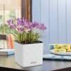 CUBE Color 14 cm - White - LECHUZA