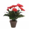 Artificial Plant - Pink Gerbera - MICA