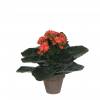 Artificial Plant - Orange Kalanchoe - MICA