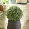 Artificial Plant - Ball-shaped Box - MICA