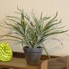 Artificial Plant - Dracaena - MICA