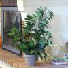 Artificial Plant - Ficus exotica - MICA