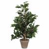 Artificial Plant - Ficus exotica - MICA