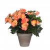 Artificial Plant - Pink Salmon Begonia - MICA