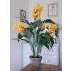 Artificial Plant - Yellow Canna - MICA