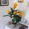 Artificial Plant - Yellow Canna - MICA