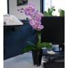 Artificial Plant - Purple Phalaenopsis - MICA