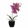 Artificial Plant - Purple Phalaenopsis - MICA