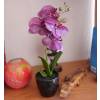 Artificial Plant - Purple Phalaenopsis - MICA