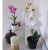 Artificial Plant - White Phalaenopsis - MICA