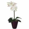 Artificial Plant - White Phalaenopsis - MICA