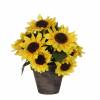 Artificial Plant - Sunflowers - MICA