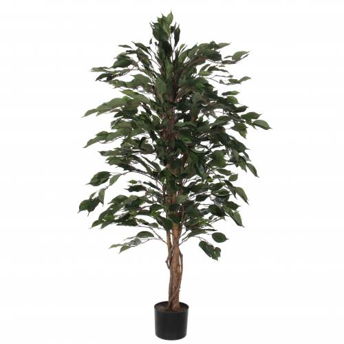 Artificial Plant - Ficus benjamina - MICA : buy Artificial Plant ...