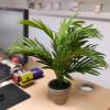 Artificial Plant - Areca Palm - MICA