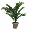 Artificial Plant - Areca Palm - MICA