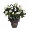 Artificial Plant - White Rose - MICA