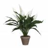 Artificial Plant - White Spathiphyllum - MICA