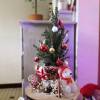 Christmas Tree in a miniature version