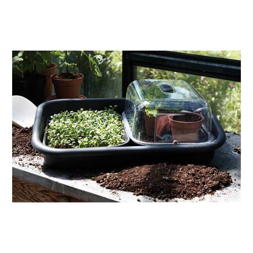 Green Basics Garden  Tray  Black Elho  buy Green Basics 