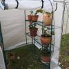 Garden Greenhouse - Greensaison 2 m2 - Nortene