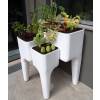 KIGA kitchen garden table XL - Hurbz