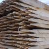 Sawn and pointed acacia stake - 150cm-1m50