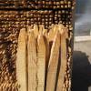 Sawn and pointed acacia stake - 100cm- 1m