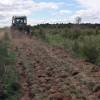 Fertiliser input in forest plantations