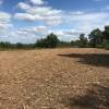 Forest mulching