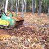 Forest mulching