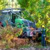 Forest mulching