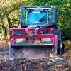 Forest mulching