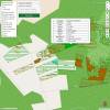 Forest mapping