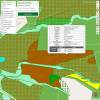 Forest mapping