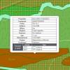 Forest mapping