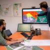Forest mapping