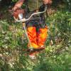 Forest brushing